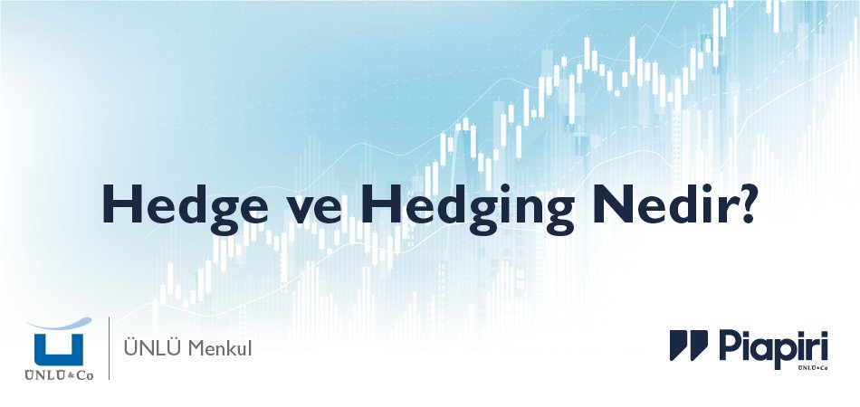 Hedge ve Hedging Nedir? Hedge ve Hedging Nedir?
